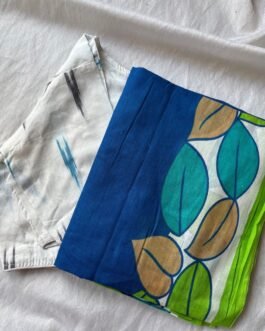 Cotton saree and blouse combo